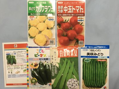 Vegetable seeds
