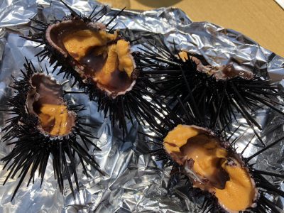 shimoda-onsen-gastronomy
