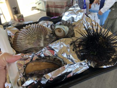 shimoda-onsen-gastronomy